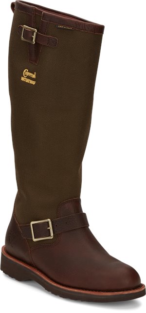 chippewa brome